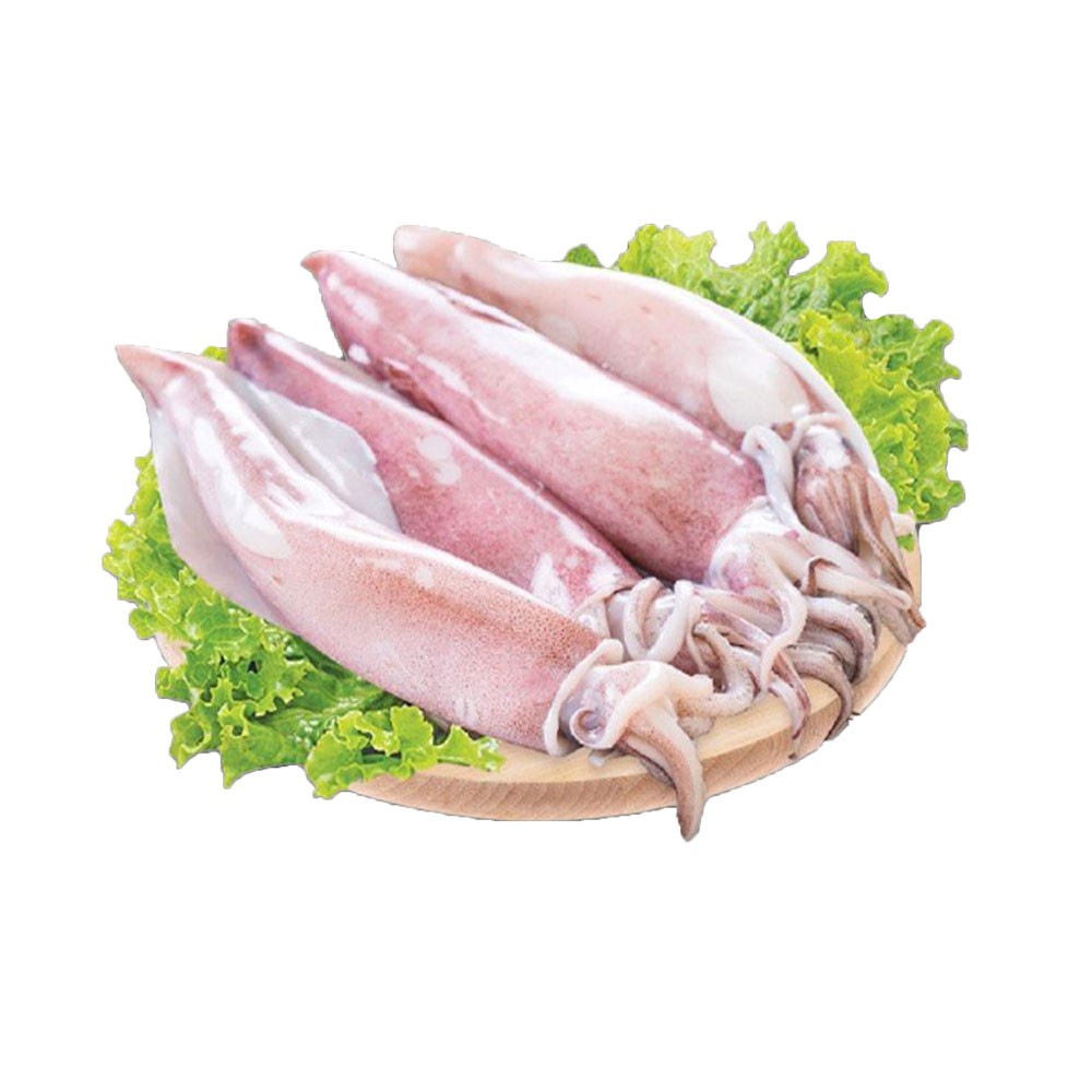 Mực ống Kg PGP990