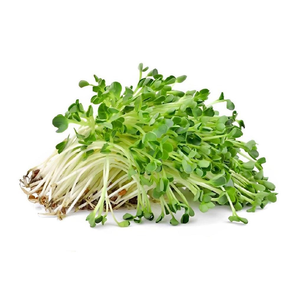 Cải mầm 150g – F