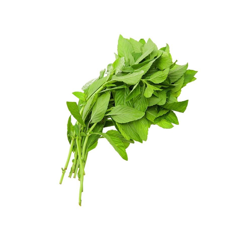 Húng cây 100g – F