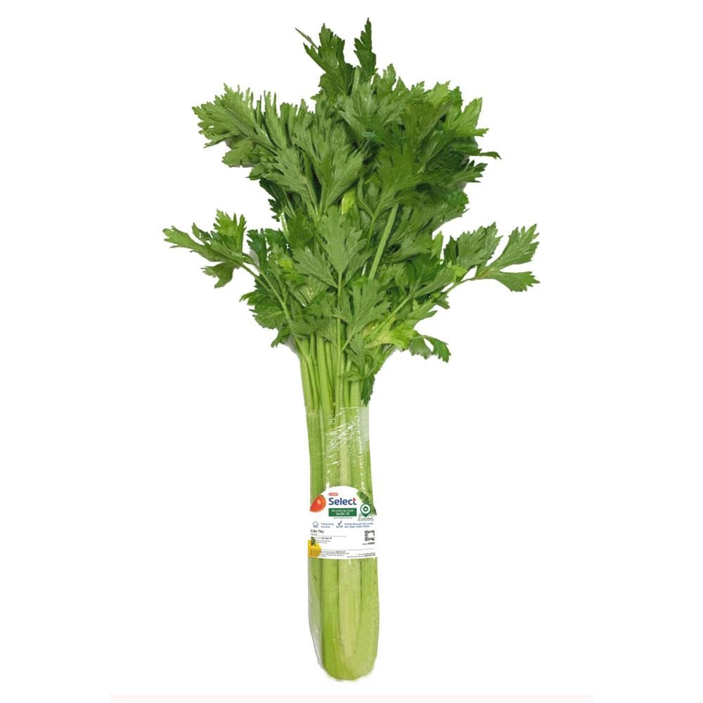 Cần tây kg – TNX