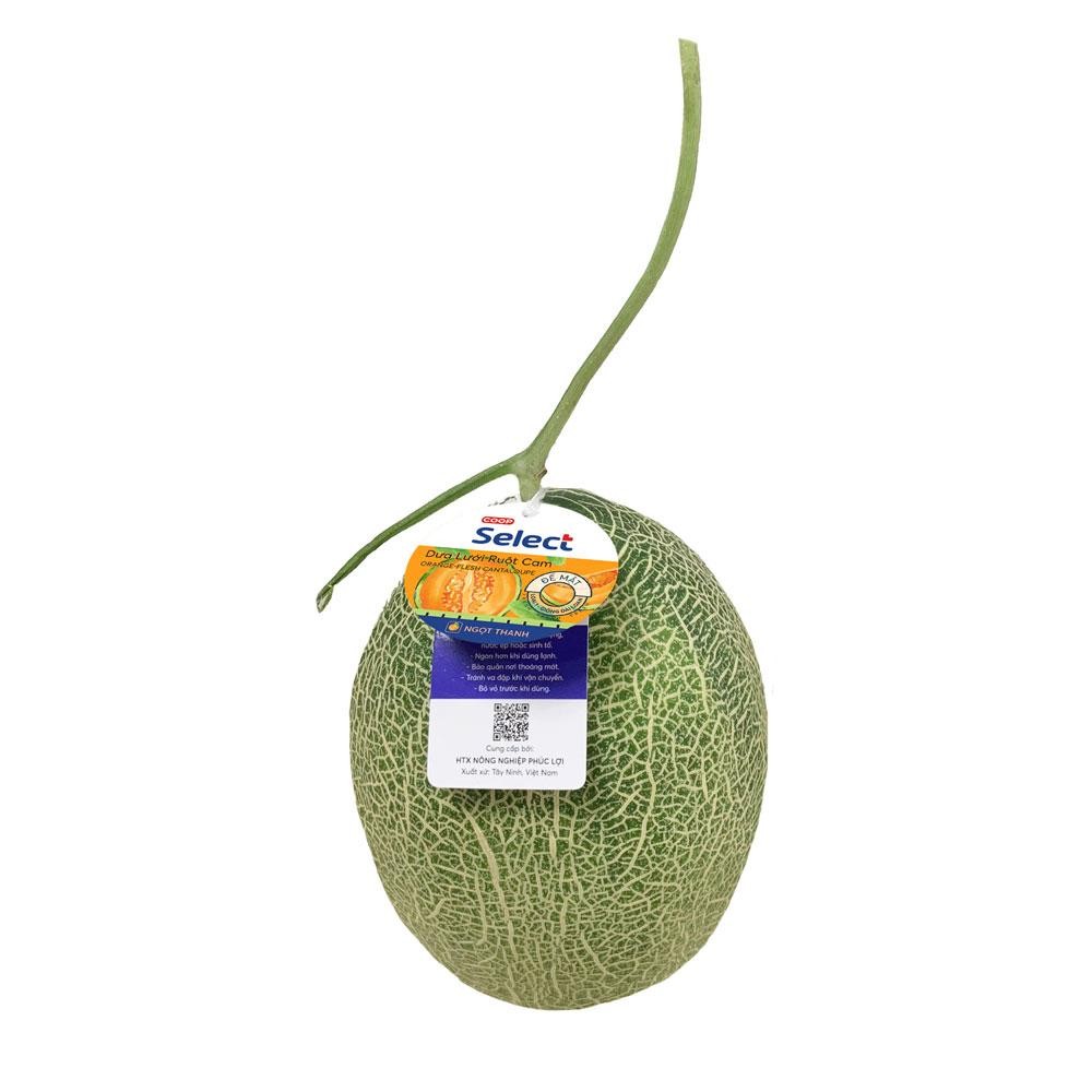 Dưa lưới đế mật ruột cam kg-PL