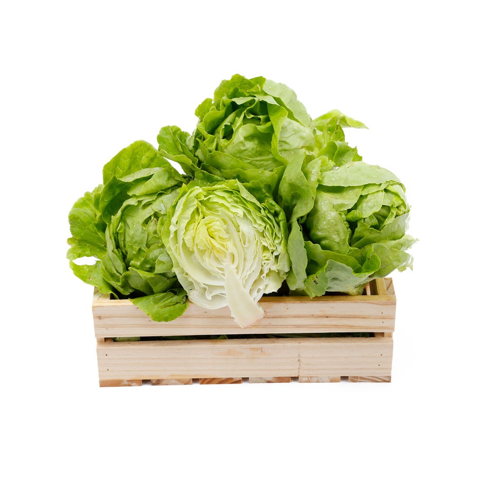 Sà lách mỡ Đà Lạt