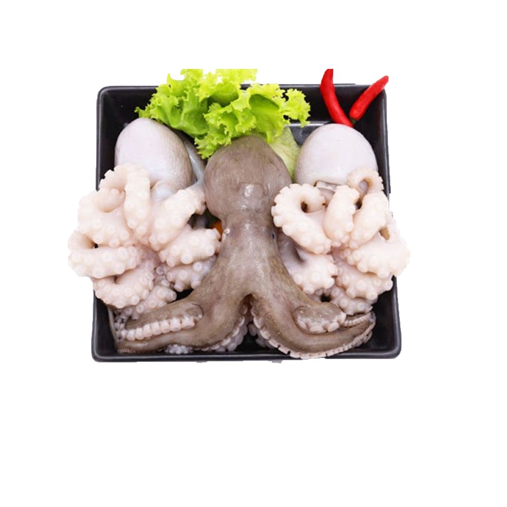 Bạch tuộc PGP990